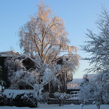 Ferienwohnung Dahoam Angerberg  Экстерьер фото